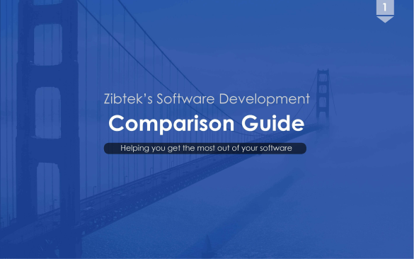 Zibtek’s Software Development Comparison Guide